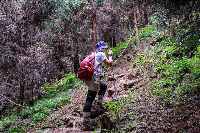 Komperdell登山杖实测,一件登山时的好装备