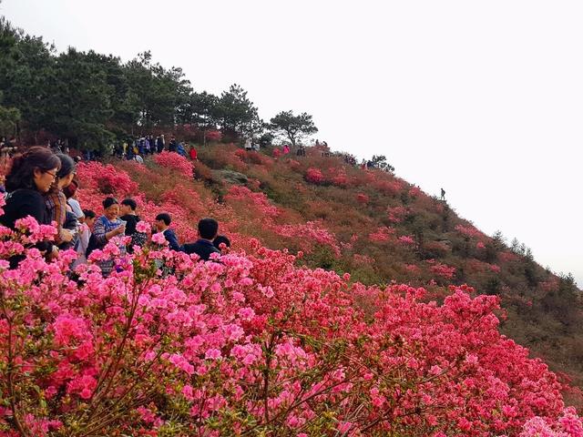 去武汉旅游,第一次的武汉自助旅行(自由行)攻略