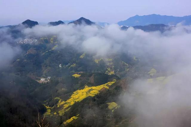 自驾游去哪玩？这7条国内自驾线路每条都是一路美景