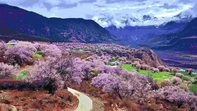 自驾游去哪玩？这7条国内自驾线路每条都是一路美景