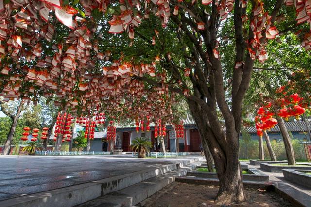 洛阳自助旅行,洛阳旅游有哪些必去景点呢？