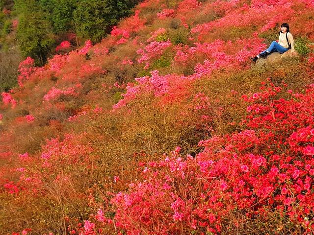 去武汉旅游,第一次的武汉自助旅行(自由行)攻略