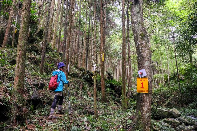 Komperdell登山杖实测,一件登山时的好装备