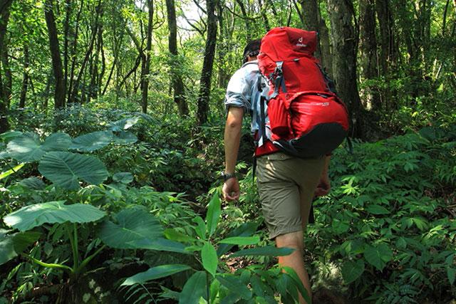 户外背包登山包选购指南和正确打包方法,让你在山野里走得更远