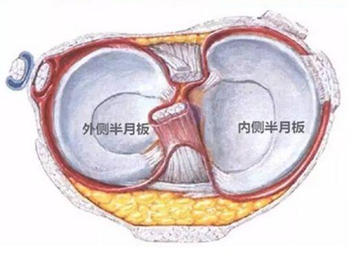 户外爬山一定需要护膝吗？户外运动护膝到底有用吗？