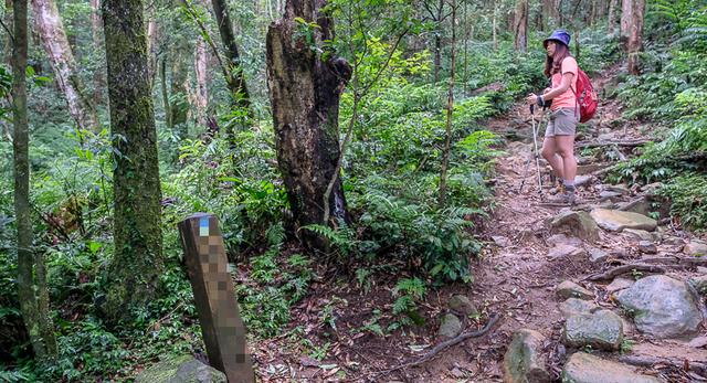 Komperdell登山杖实测,一件登山时的好装备