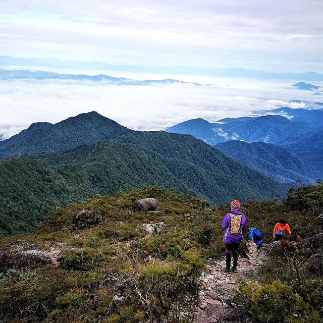 马来西亚大汉山国家公园攻略,探秘热带雨林美景