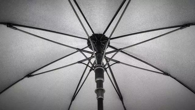 来自德国欧赛姆(EUROSCHIRM) 防身雨伞,荒野探险结实又耐用