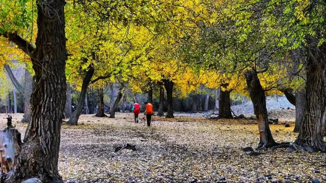 新疆最美户外路线,驴友不该错过的小众美景孟克德古道徒步攻略