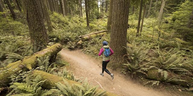 越野跑与马拉松有何不同?回归山林的越野跑运动