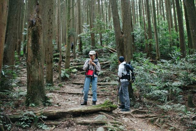 登山为什么登山要穿羊毛袜?Smartwool羊毛袜简单实测