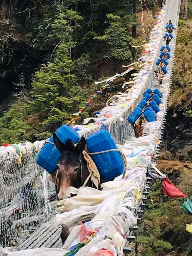 尼泊尔旅行攻略,在尼泊尔徒步旅行的常见问题