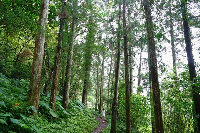 KEEN UNEEK独一无二的手工编织鞋,旅游外出、上山下海通通搞定