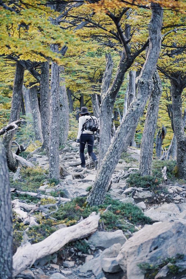 猛犸象Mammut新款登山鞋测评体验,轻松应对各种户外活动