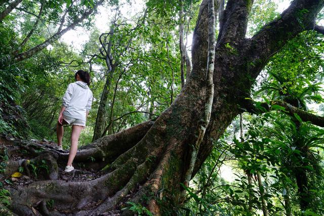 KEEN UNEEK独一无二的手工编织鞋,旅游外出、上山下海通通搞定