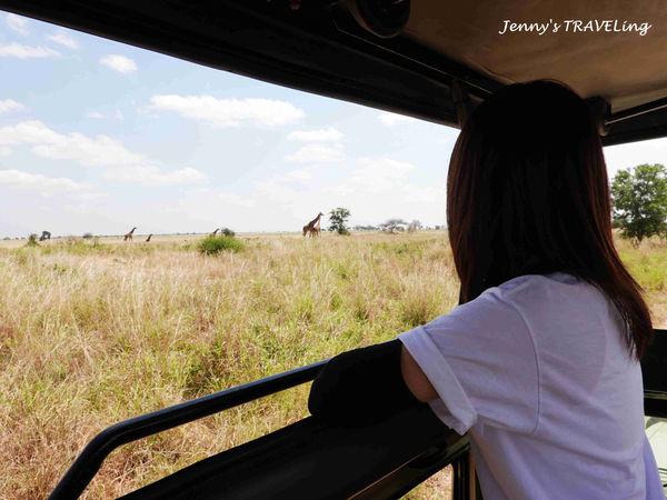 非洲坦桑尼亚猎游,你需要知道的旅行攻略