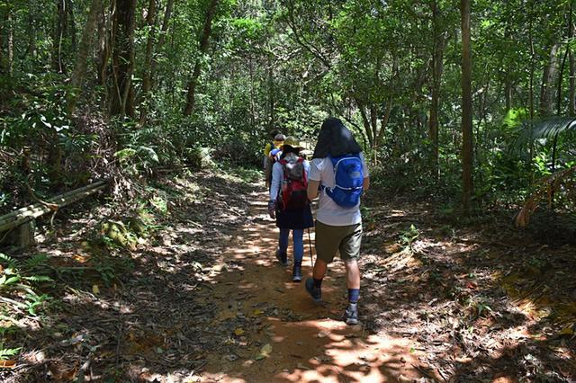 夏季登山预防中暑,由路线策划做起准备充足装备