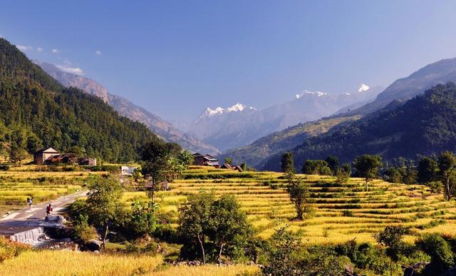尼泊尔经典徒步路线,马纳斯鲁峰大环线MCT雪山徒步攻略