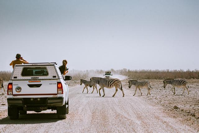 纳米比亚自助游旅行指南,埃托沙国家公园介绍与旅行建议