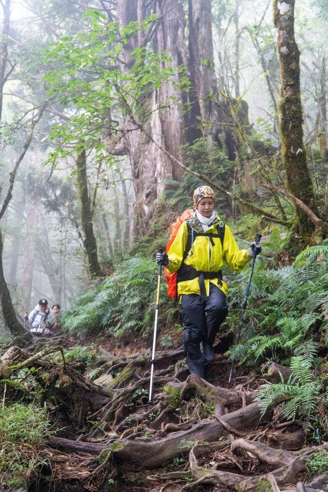 爬山前需要做哪些准备,户外装备、登山技巧、行前需要了解的知识