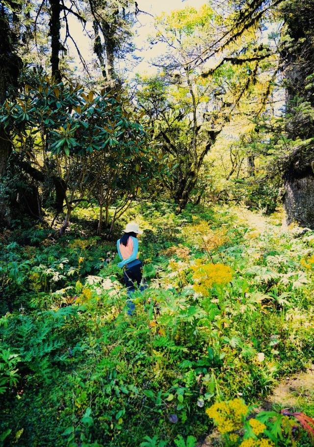 不丹自助游旅行指南,到不丹最美的徒步圣地走LongteyHike