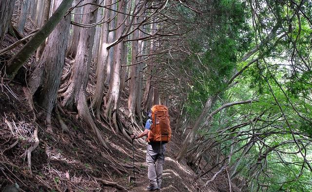 意大利户外品牌登山鞋,Zamberlan赞贝拉防水重装登山鞋实测