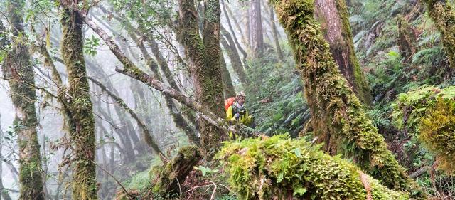 爬山前需要做哪些准备,户外装备、登山技巧、行前需要了解的知识