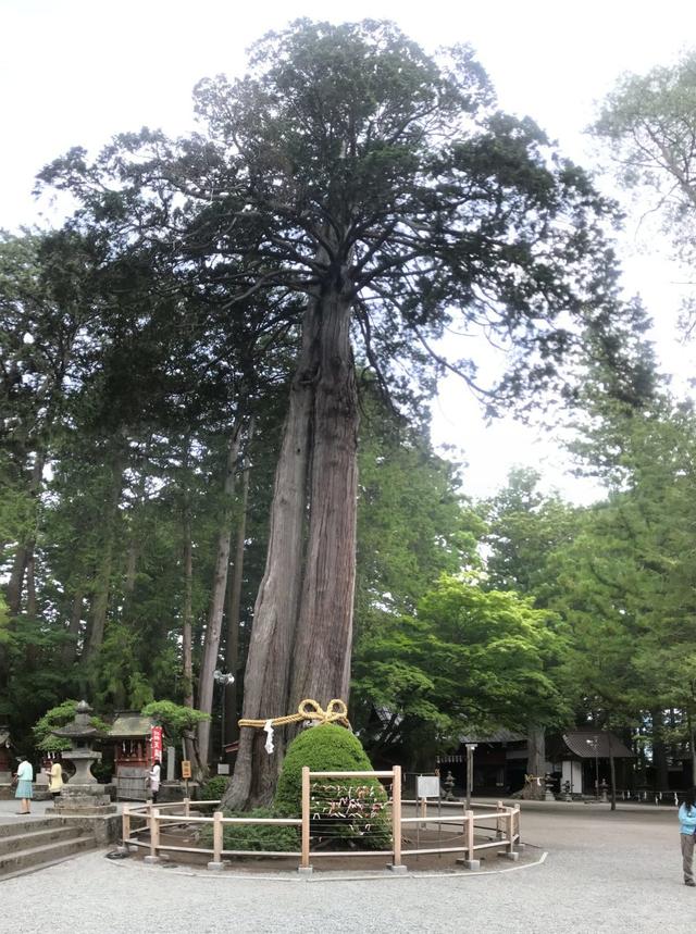 日本富士山攻略大全,想去富士山的你不妨收藏