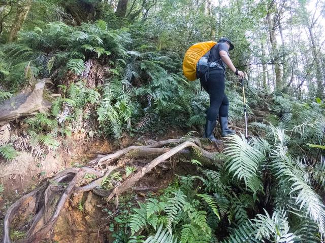 爬山前需要做哪些准备,户外装备、登山技巧、行前需要了解的知识