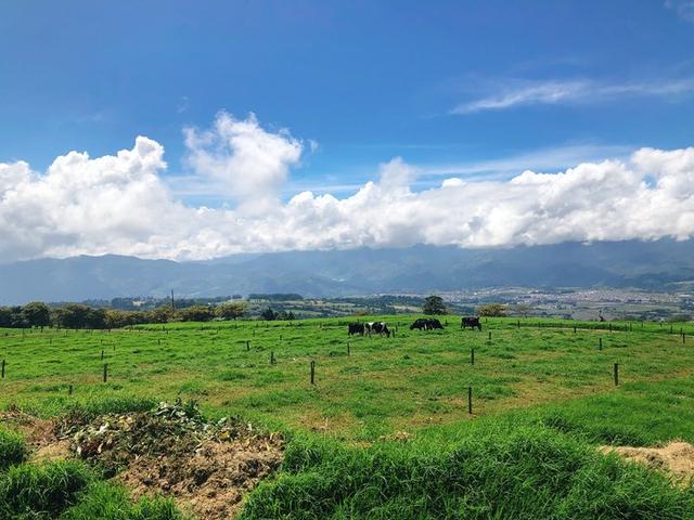 哥斯达黎加游记攻略,最高的活火山伊拉苏火山徒步半日游