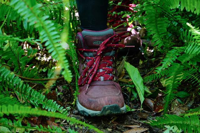 不入后悔的专业登山鞋,KEEN和Sherpa联名款户外登山鞋实测