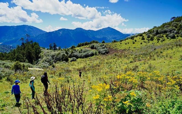 不丹自助游旅行指南,到不丹最美的徒步圣地走LongteyHike