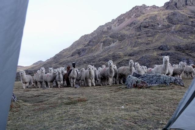 秘鲁安地斯山脉自助登山指南,一起从彩虹山环绕奥桑加特山吧