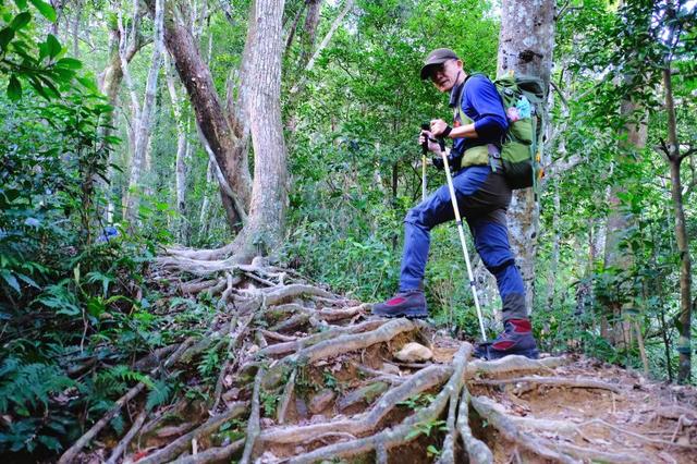 户外装备测评,Komperdell登山杖和Enforma羊毛袜