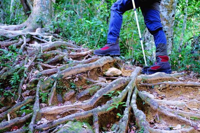 个人评测及推荐,来自意大利的Zamberlan赞贝拉高帮登山鞋