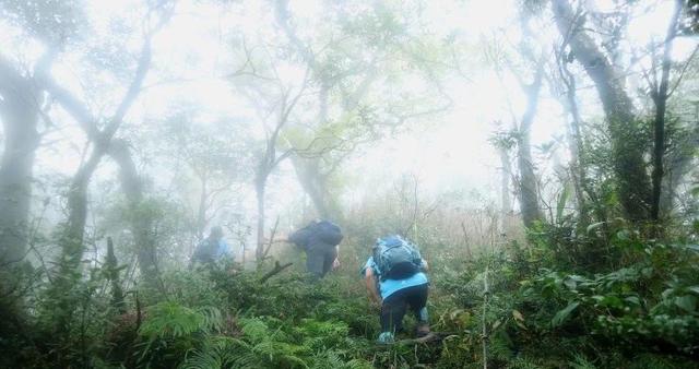 个人评测及推荐,来自意大利的Zamberlan赞贝拉高帮登山鞋