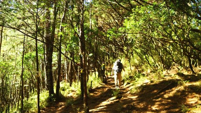 个人评测及推荐,来自意大利的Zamberlan赞贝拉高帮登山鞋