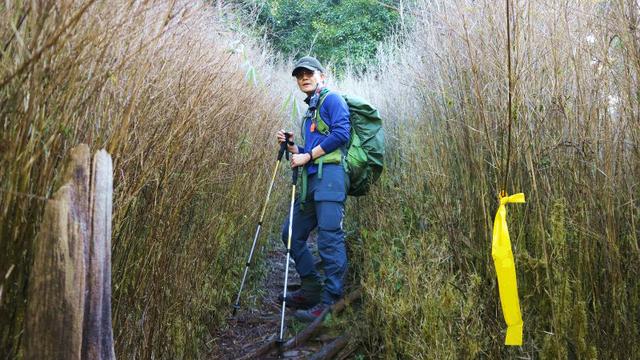 户外装备测评,Komperdell登山杖和Enforma羊毛袜