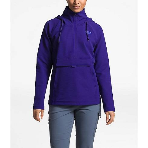 The North Face Tekno Ridge Hoodie 北面 女款连帽衫