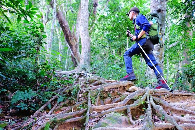 户外装备测评,Komperdell登山杖和Enforma羊毛袜