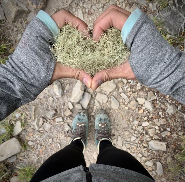 登山鞋推荐,Zamberlan(赞贝拉)防水高帮皮革登山鞋测评