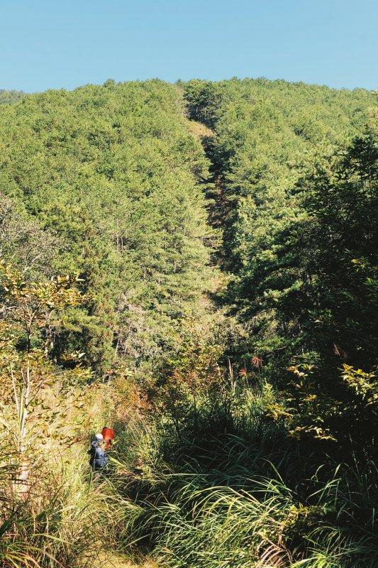 爬山需要一双好鞋来保护,Zamberlan赞贝拉户外登山鞋测评