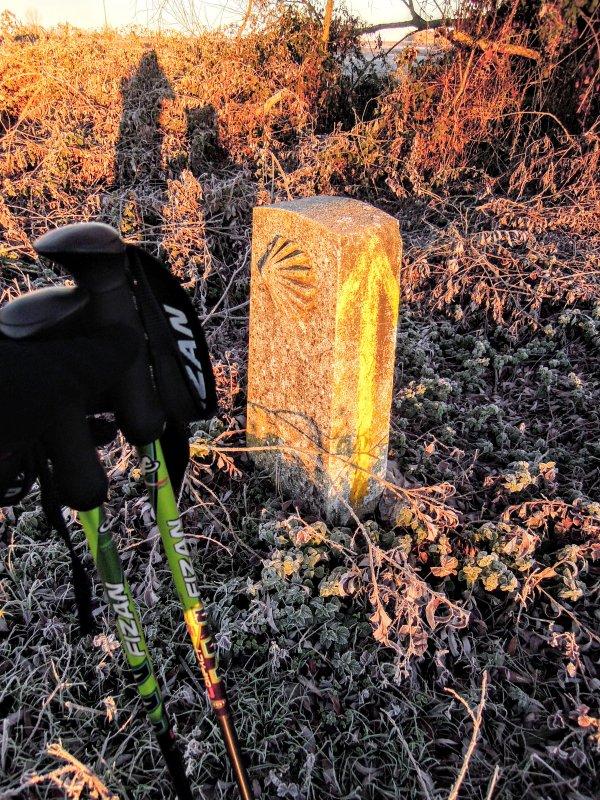 超轻好用的登山杖,Fizan三节式登山杖实测体验