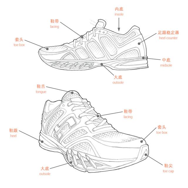 运动鞋的部位名称大全图片