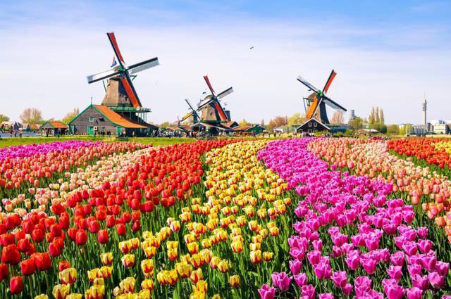 荷兰阿姆斯特丹自由行攻略,你不可错过的旅游景点
