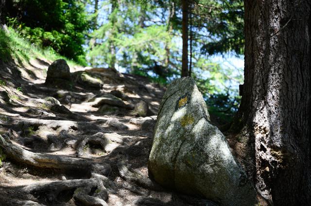 勃朗峰环线TMB徒步之旅,穿越欧洲法意瑞三国