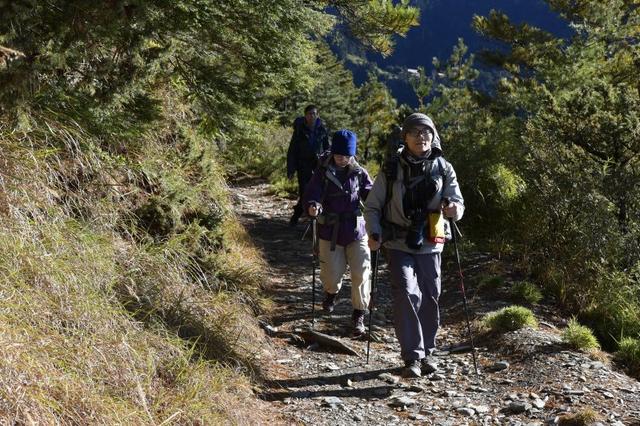 徒步登山要带登山杖,意大利著名登山杖品牌Fizan实测体验