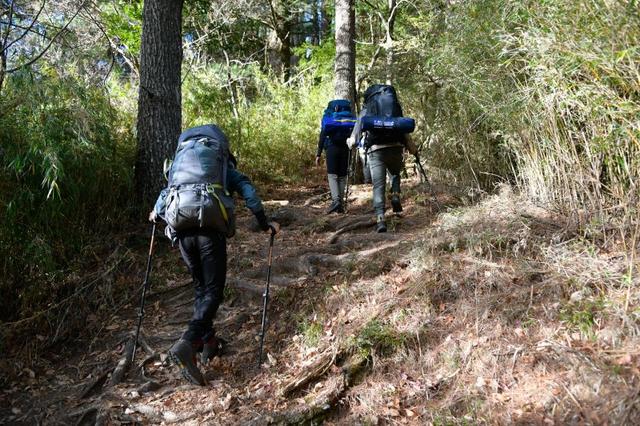 徒步登山要带登山杖,意大利著名登山杖品牌Fizan实测体验