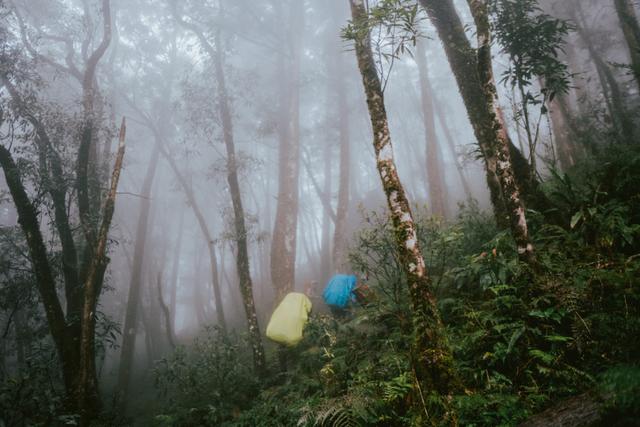 登山如何预防迷路?发生山难怎么办?