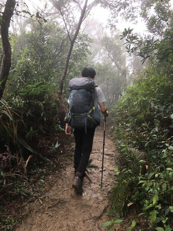 徒步登山要带登山杖,意大利著名登山杖品牌Fizan实测体验